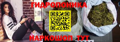 a pvp Гусиноозёрск